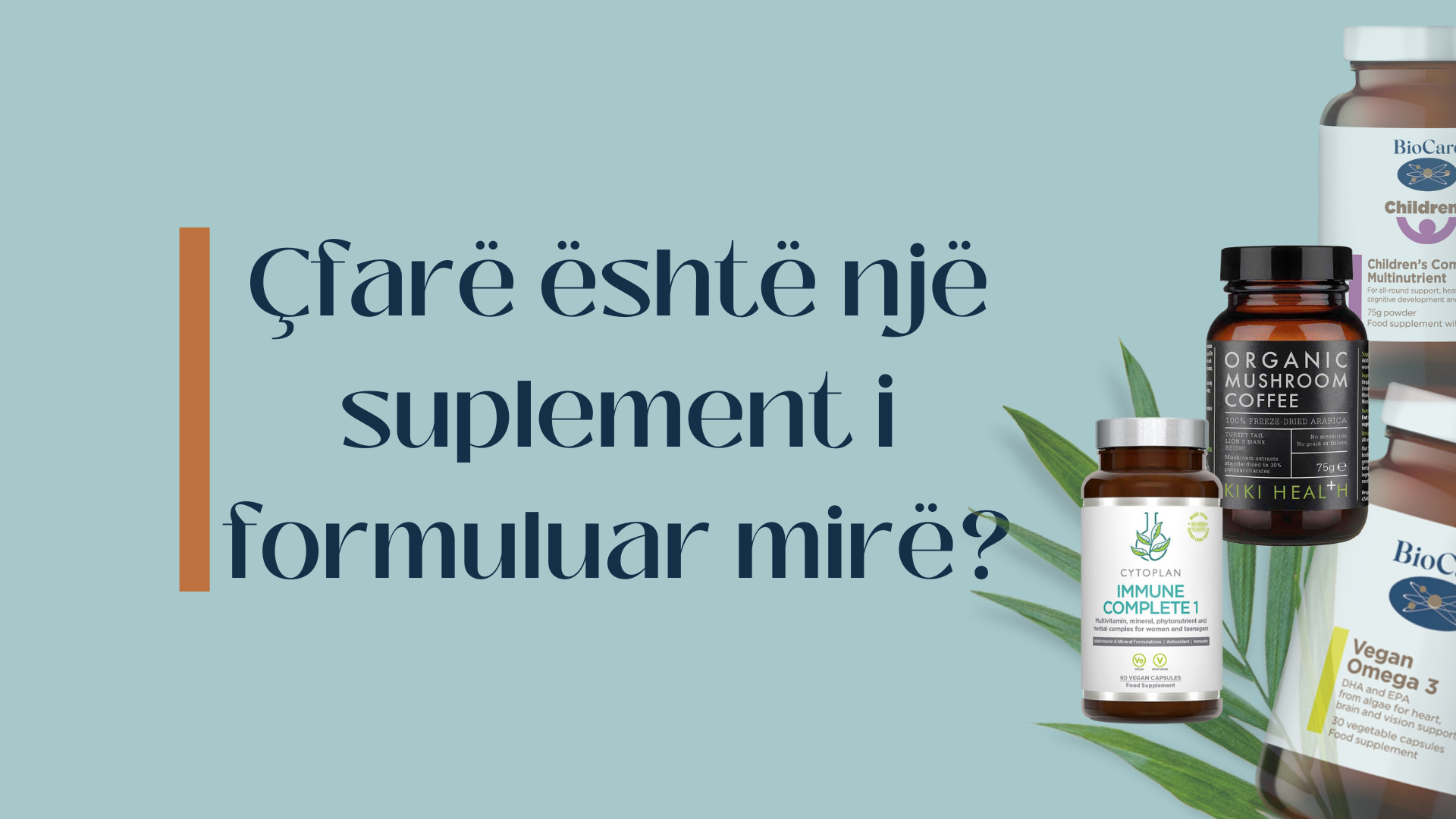 ÇFARË ËSHTË NJË SUPLEMENT I FORMULUAR MIRË?