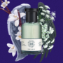 Tonka Angelica Parfume- 100ml