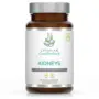 CytoProtect Kidneys