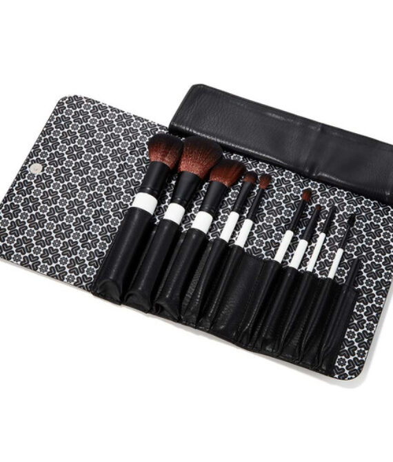 SET- 10 PIECE LUXURY BRUSH