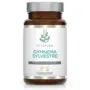 Gymnema Sylvestre