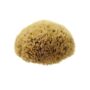 NATURAL HONEYCOMB SEA SPONGE  4-4.5″