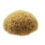 Natural Honeycomb Sea Sponge – size 5-5.5″