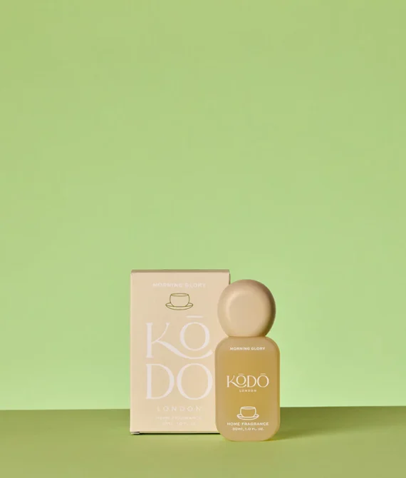 MINIATURE MORNING GLORY